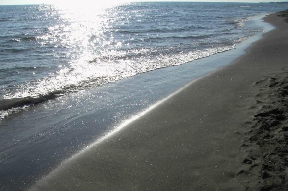 Violetta Hotel Lido di Ostia Luaran gambar